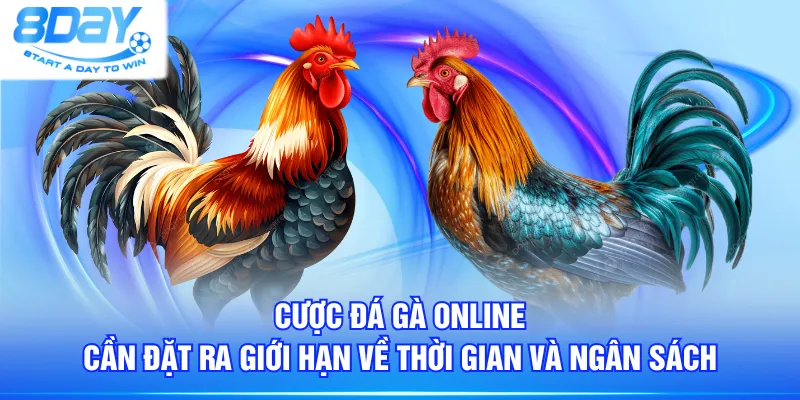 Cược đá gà online cần đặt ra giới hạn về thời gian và ngân sách
