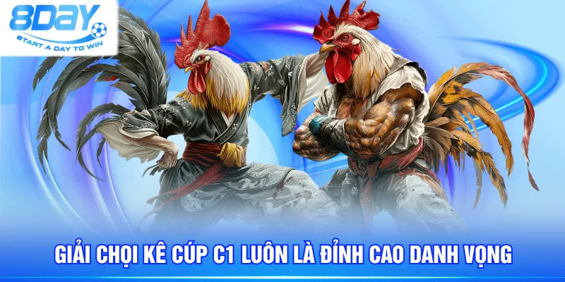 Giải chọi kê cúp C1 luôn là đỉnh cao danh vọng