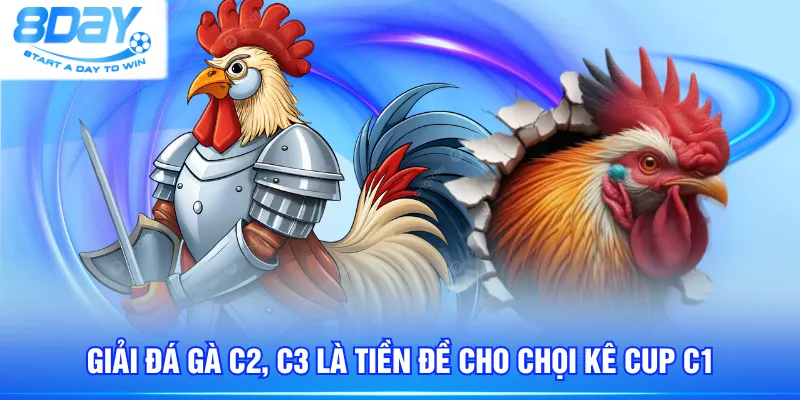 Giải đá gà C2, C3 là tiền đề cho chọi kê cup C1