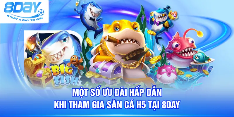 Một số ưu đãi hấp dẫn khi tham gia săn cá H5 tại 8DAY