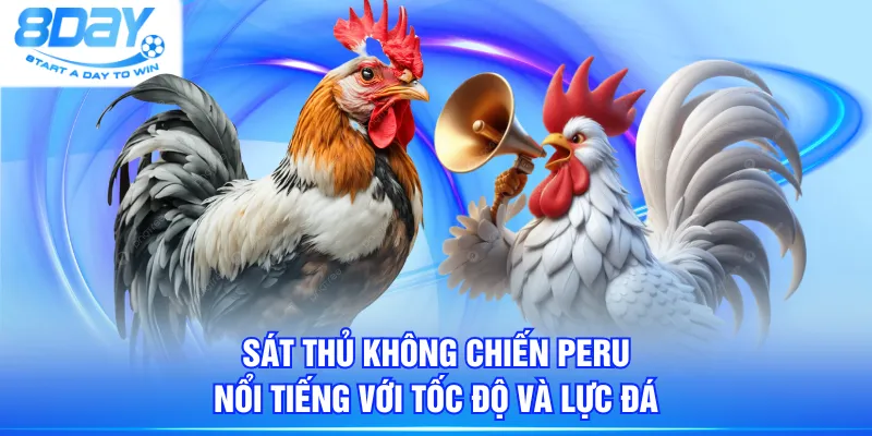 Sát thủ không chiến Peru nổi tiếng với tốc độ và lực đá